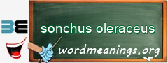 WordMeaning blackboard for sonchus oleraceus